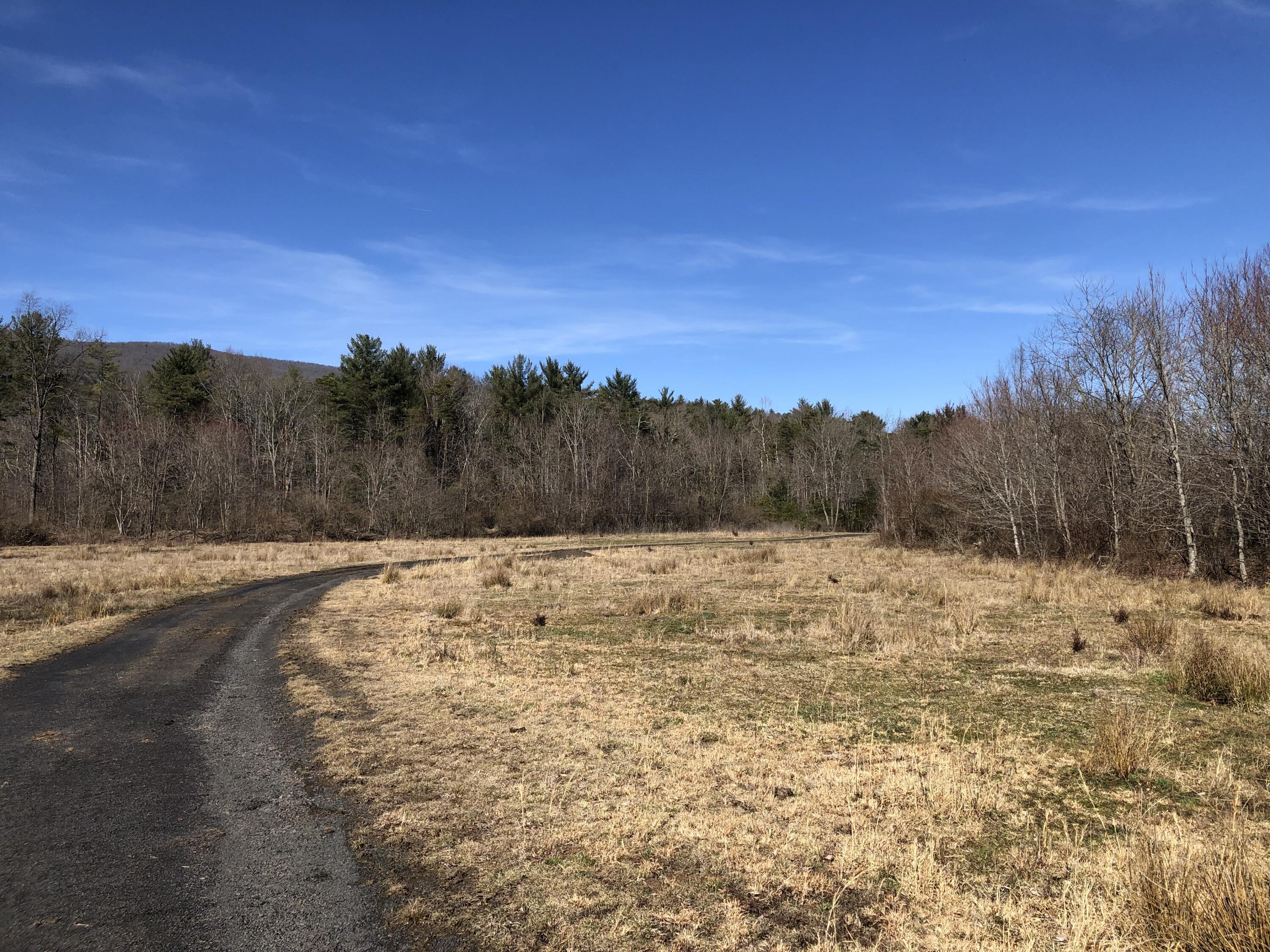 0 Potts Creek Road Covington, VA 24426 - Photo 7 of 22 a view of a yard