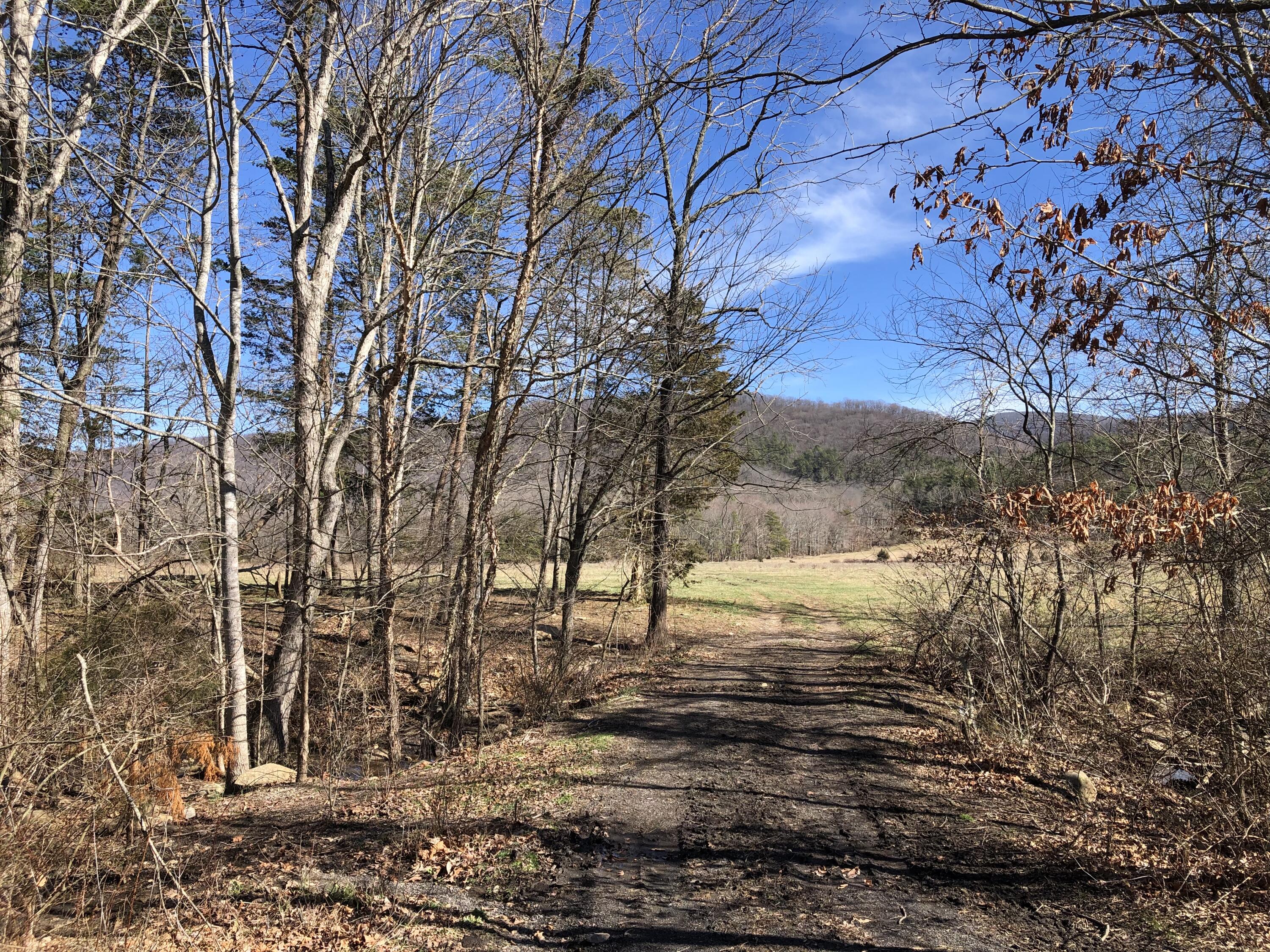 0 Potts Creek Road Covington, VA 24426 - Photo 8 of 22 a close up of a tree