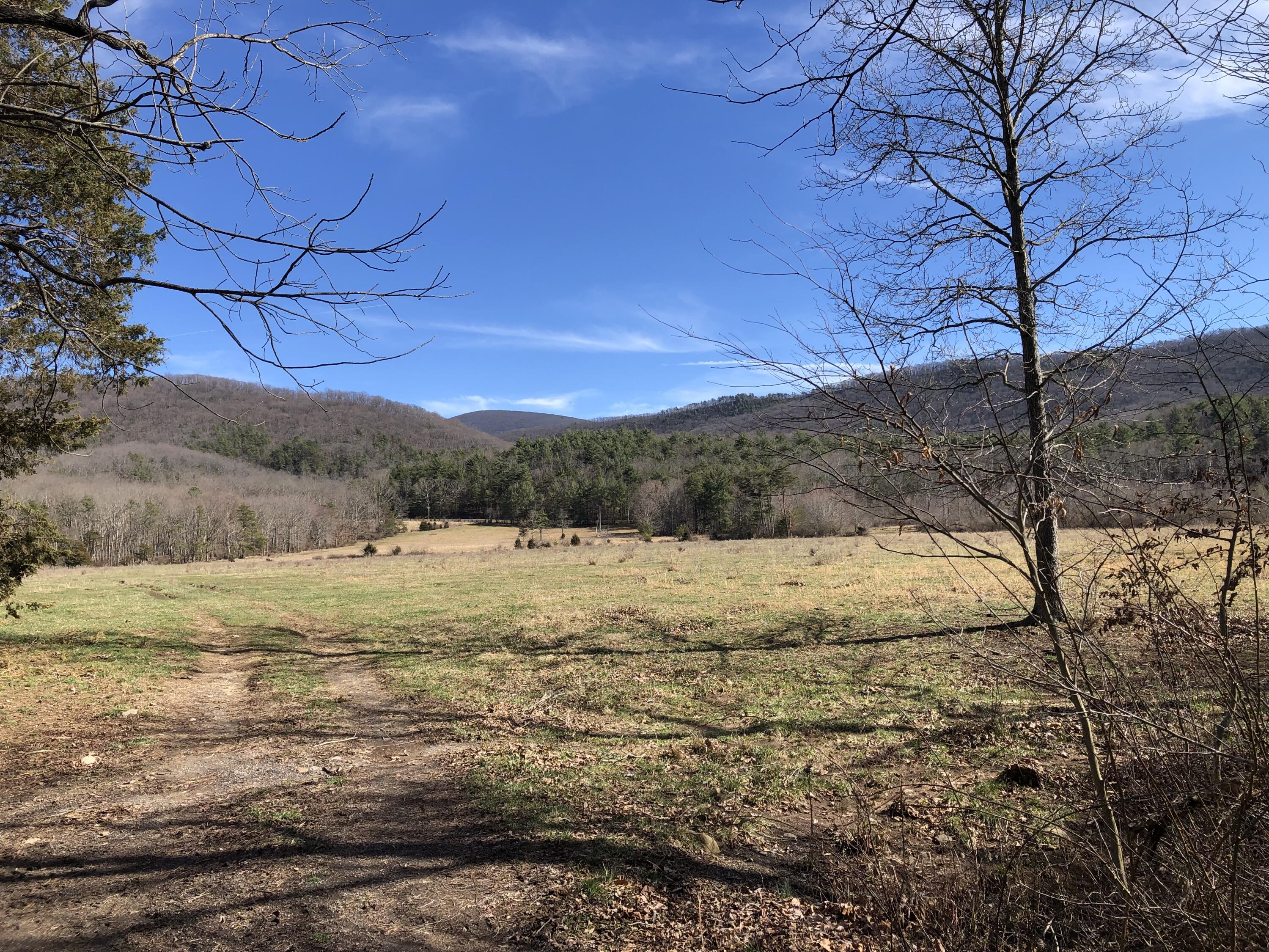 0 Potts Creek Road Covington, VA 24426 - Photo 10 of 22 a view of an outdoor space