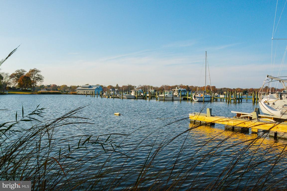 3435 Hidden River View Road Annapolis, MD 21403 - Photo 52 of 55 Gallery Image 52