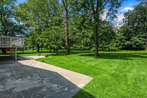 a view of a park with large trees