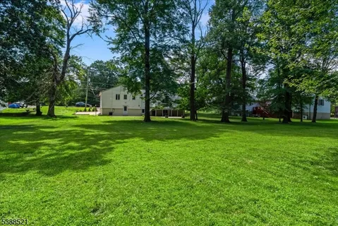a view of a trees in front of a house