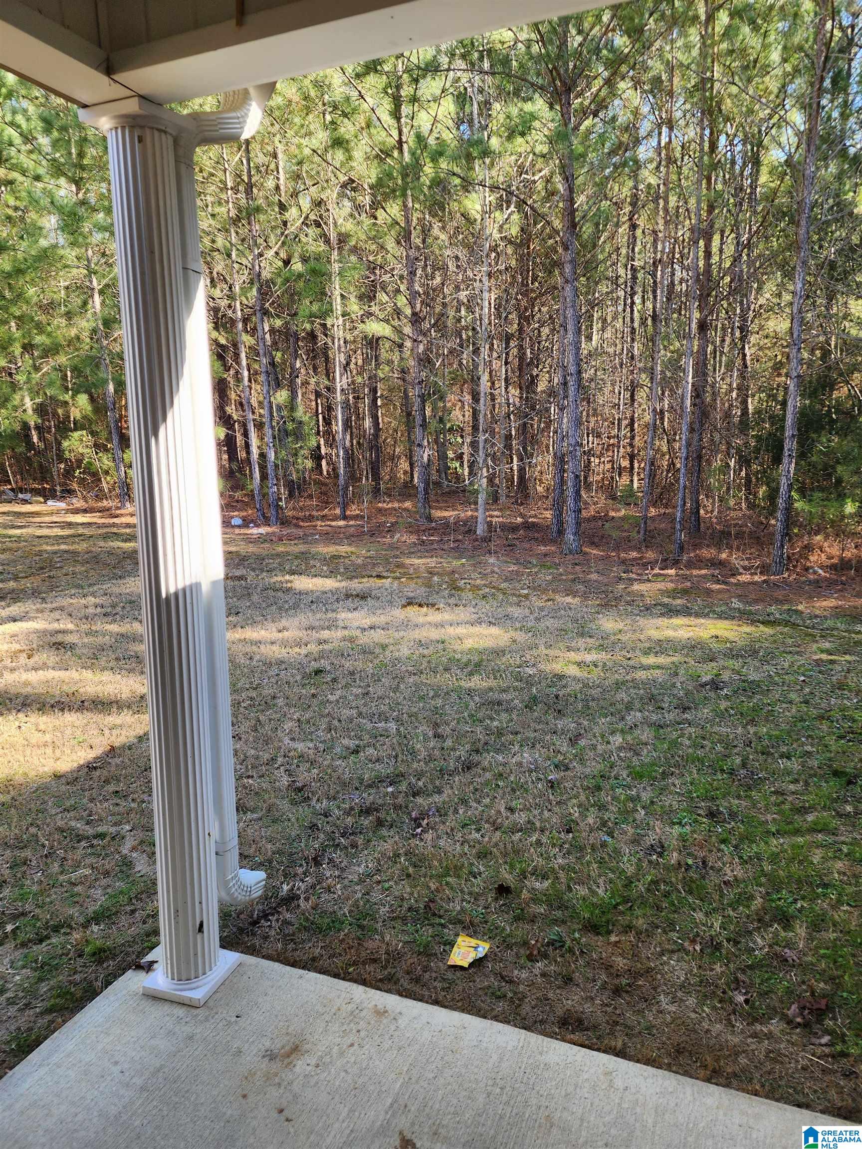 16112 Stone Ridge Parkway Brookwood, AL 35444 - Photo 43 of 60