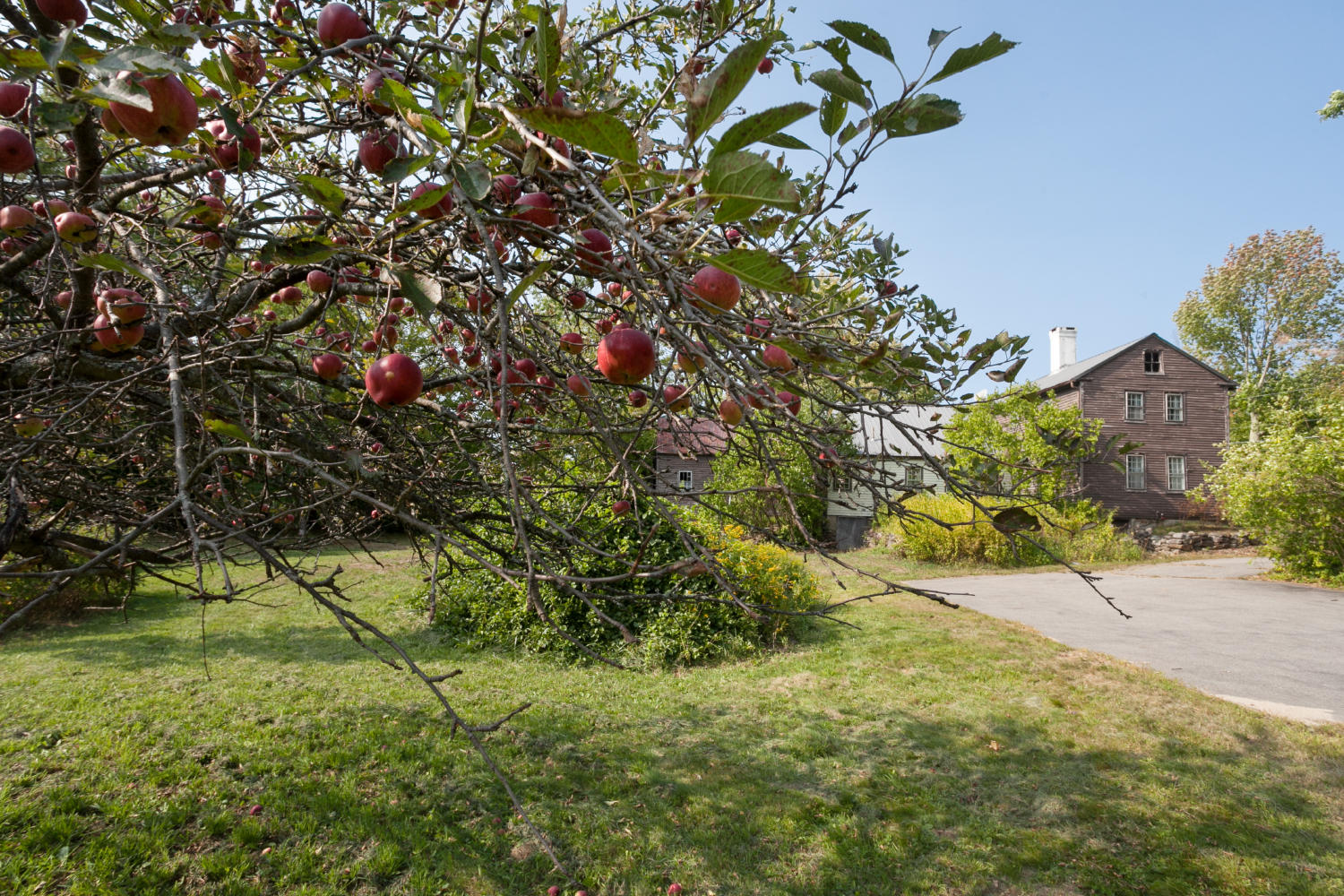 1774 Foxes Ridge Road Acton, ME 04001 - Photo 9 of 39 8684
