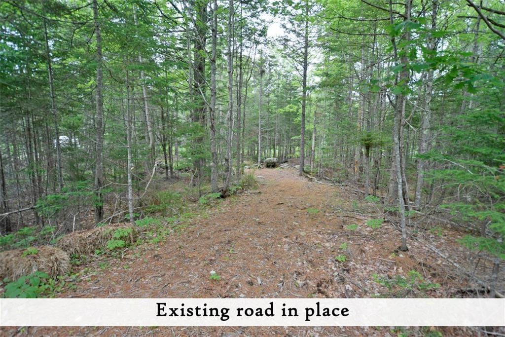 113 Red Bridge Road Ellsworth, ME 04605 - Photo 16 of 29 Photo