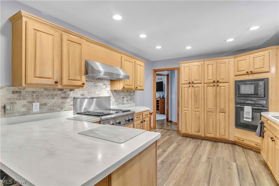 9110 Spieth Road Litchfield, OH 44253 - Photo 19 of 50 Gallery Image 19