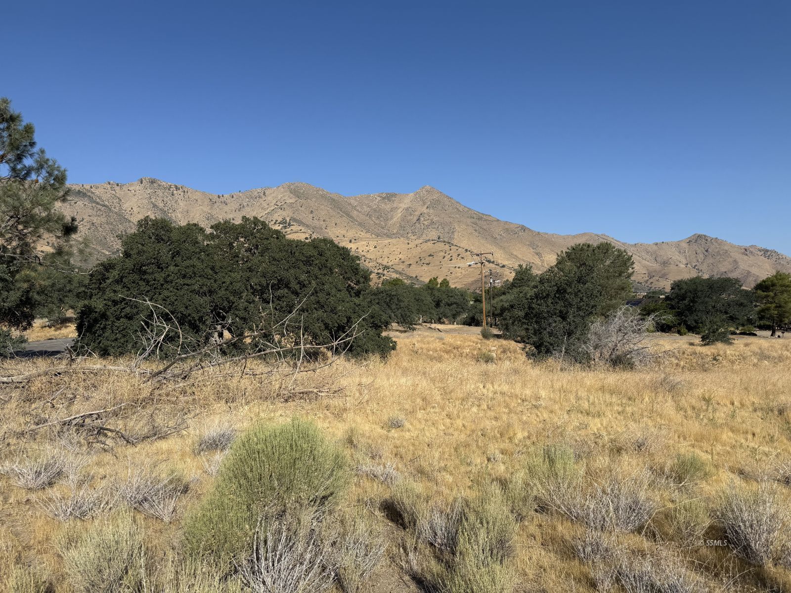 Big Springs Road Mountain Mesa, CA 93240 - Photo 3 of 8
