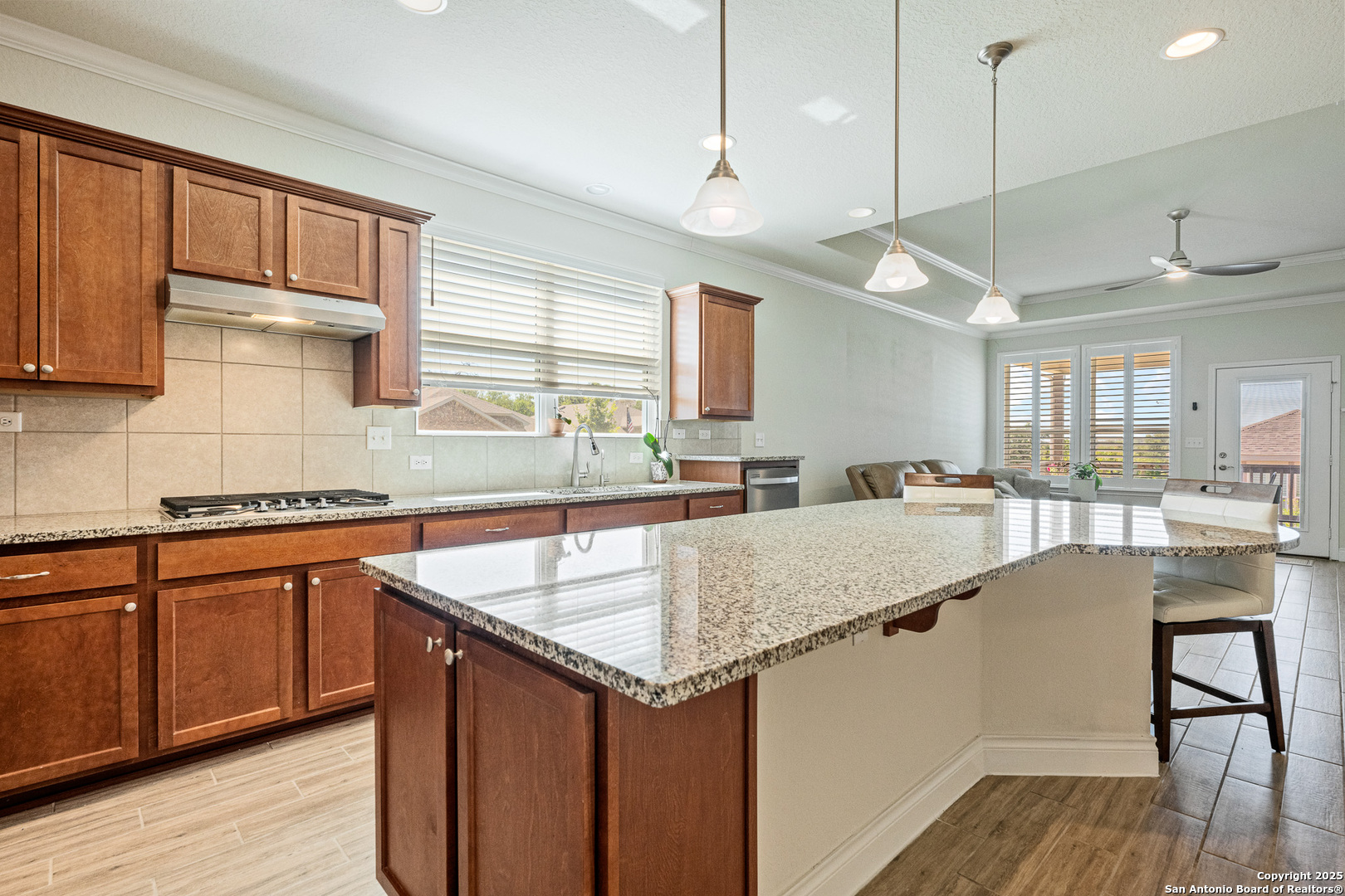 3603 Daisy Spring San Antonio, TX 78253 - Photo 8 of 47