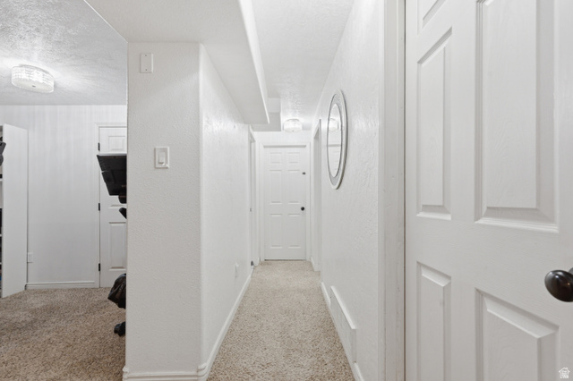830 North Stone Road Snowville, UT 84336 - Photo 15 of 69 Hall with light colored carpet, a textured wall, and a textured ceiling