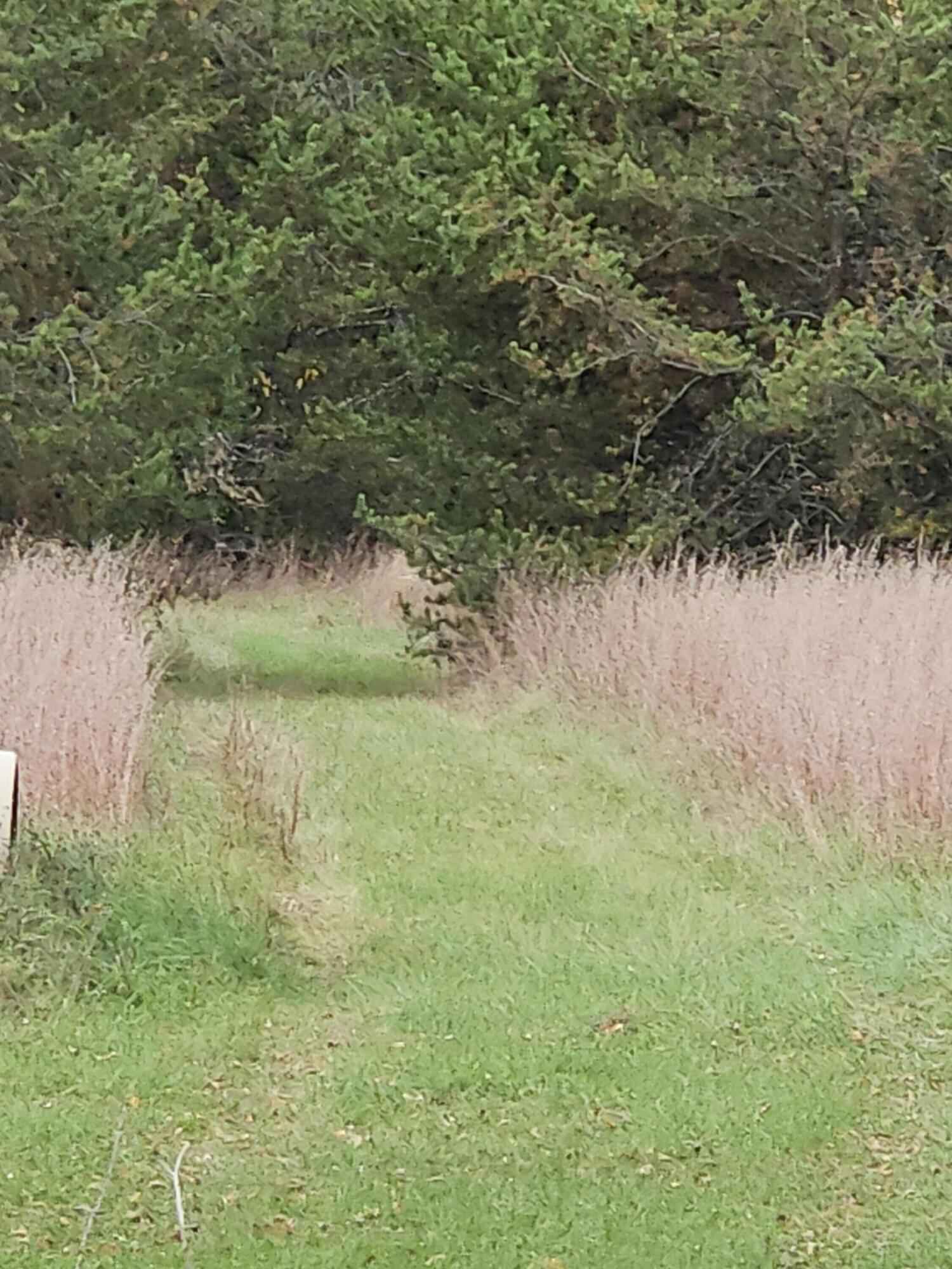 N2743 County Rd O Knapp, WI 54666 - Photo 34 of 60 20251020_141305