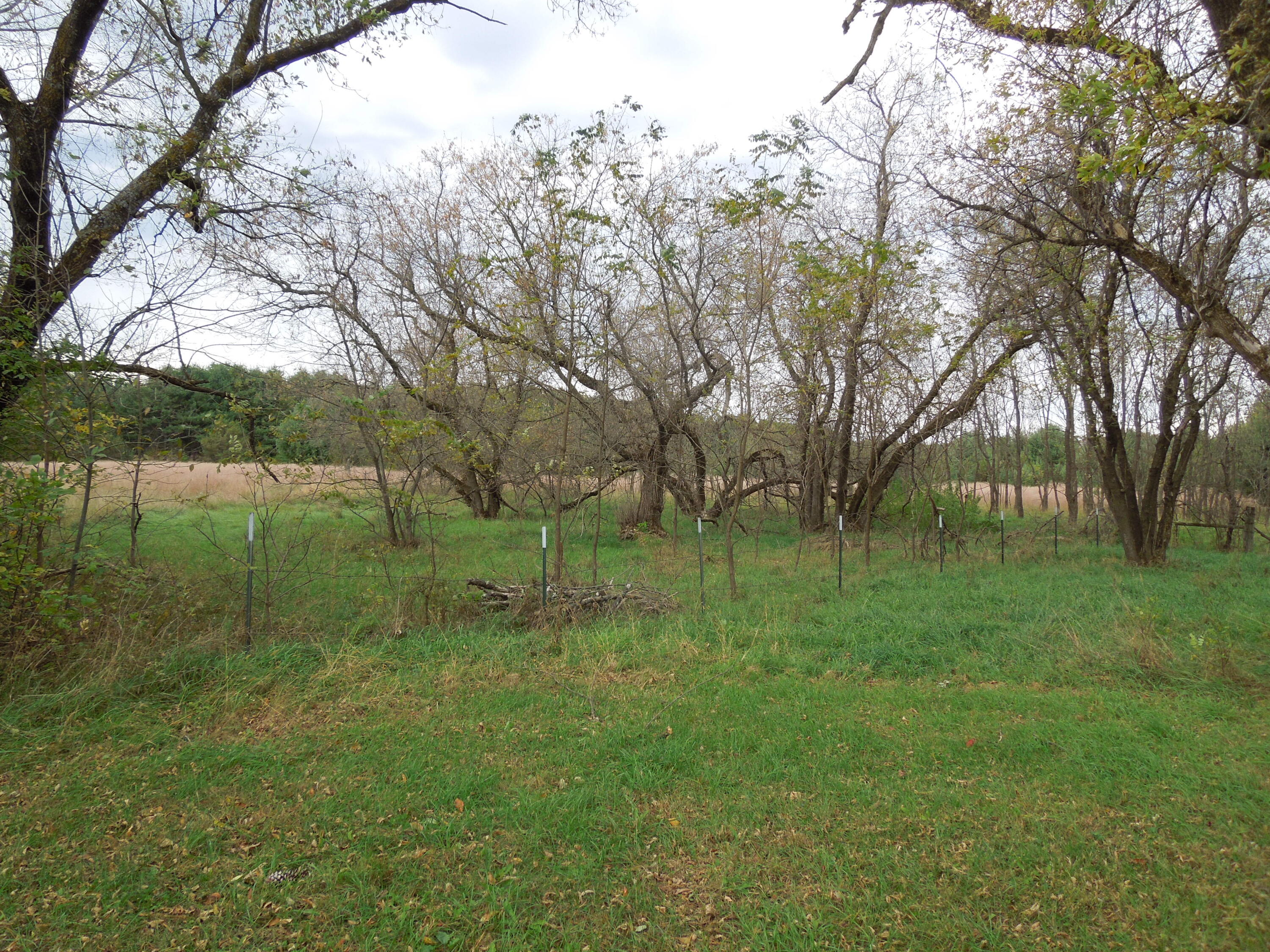 N2743 County Rd O Knapp, WI 54666 - Photo 49 of 60 DSCN0258
