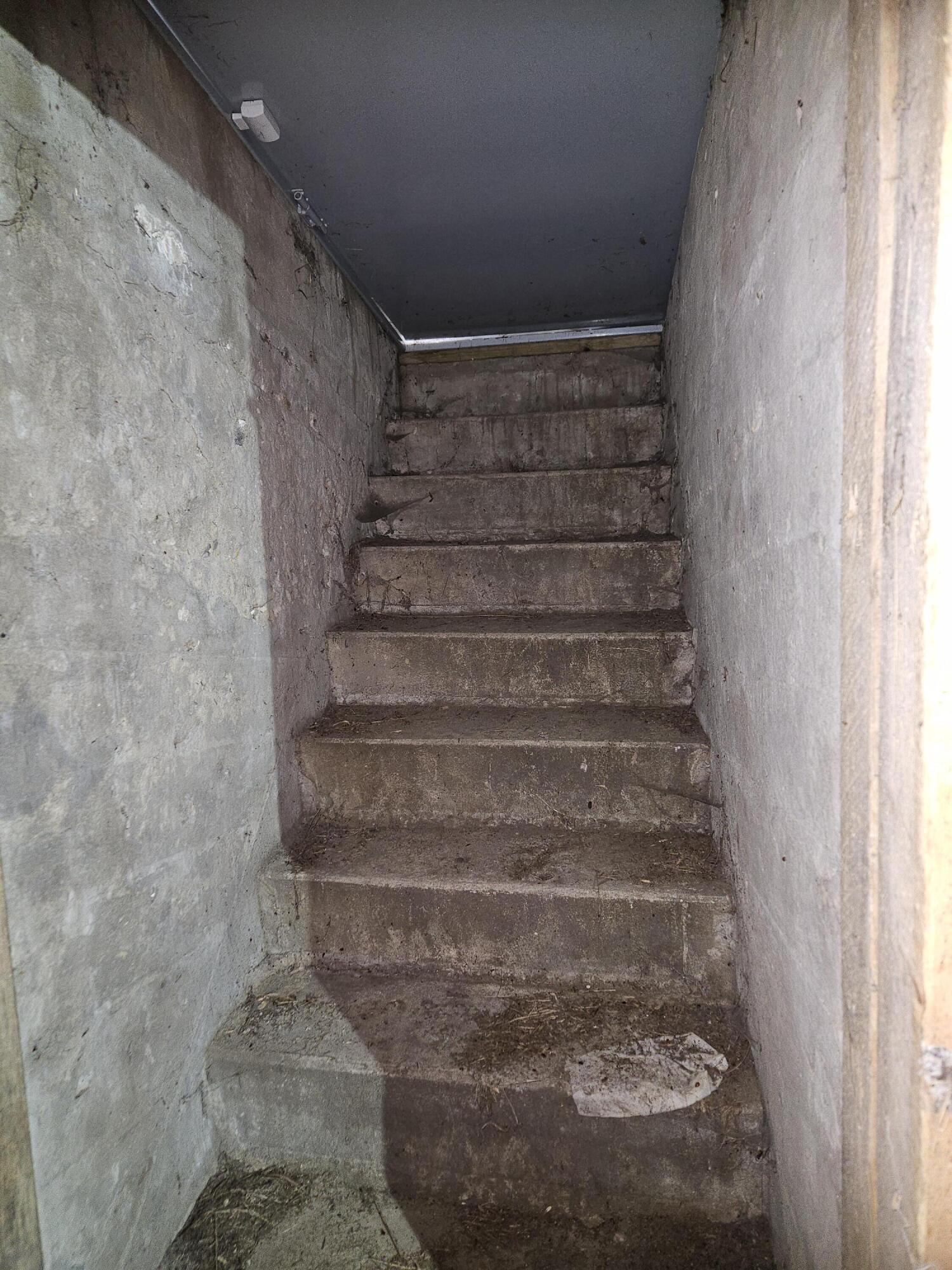 N2743 County Rd O Knapp, WI 54666 - Photo 53 of 60 20251020_134140