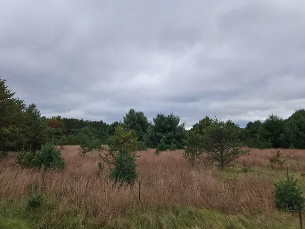 $349,900 | N2743 County Rd O, Knapp, WI 54666