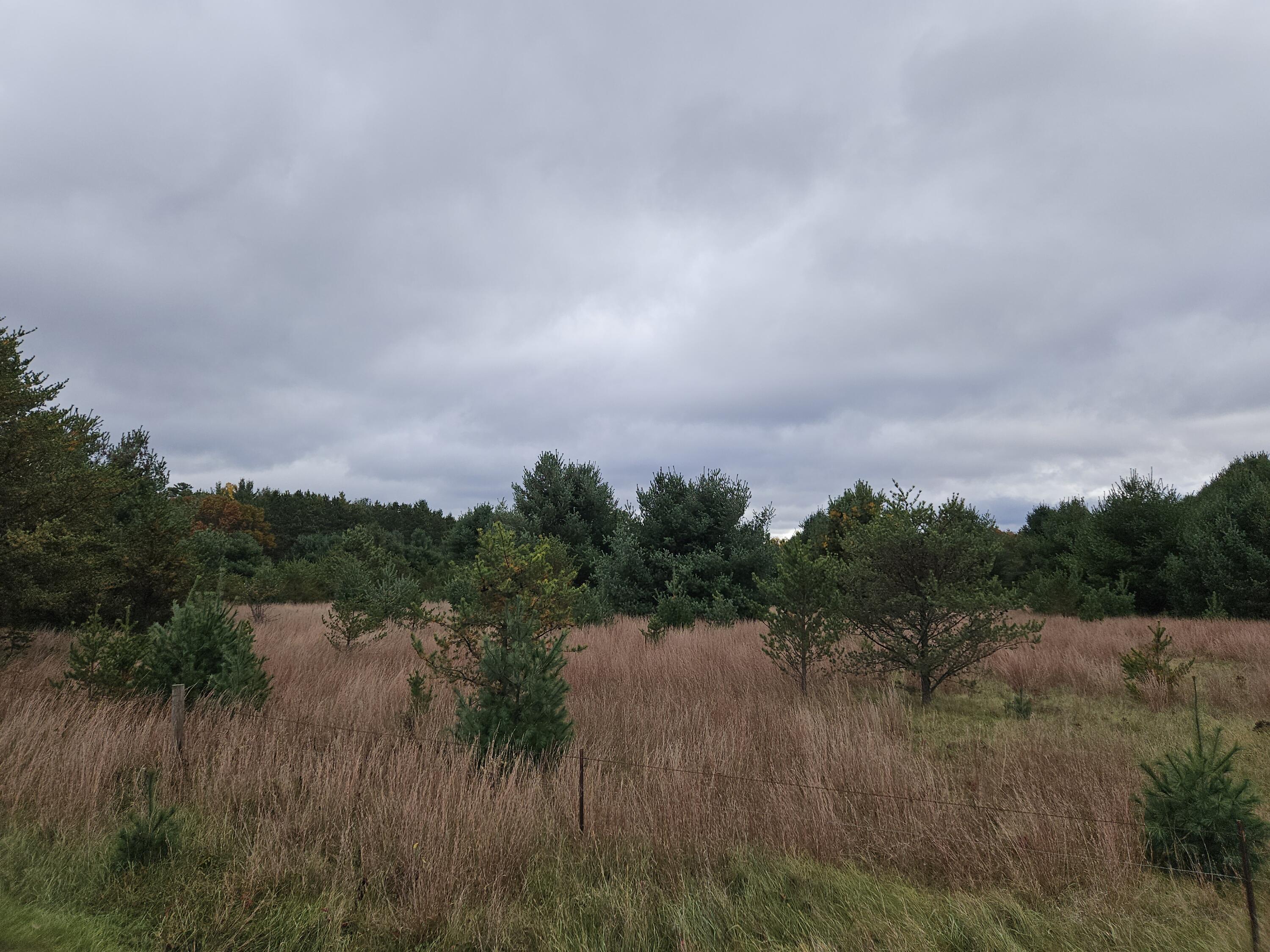 N2743 County Rd O Knapp, WI 54666 - Photo 56 of 60 20251022_120141 1