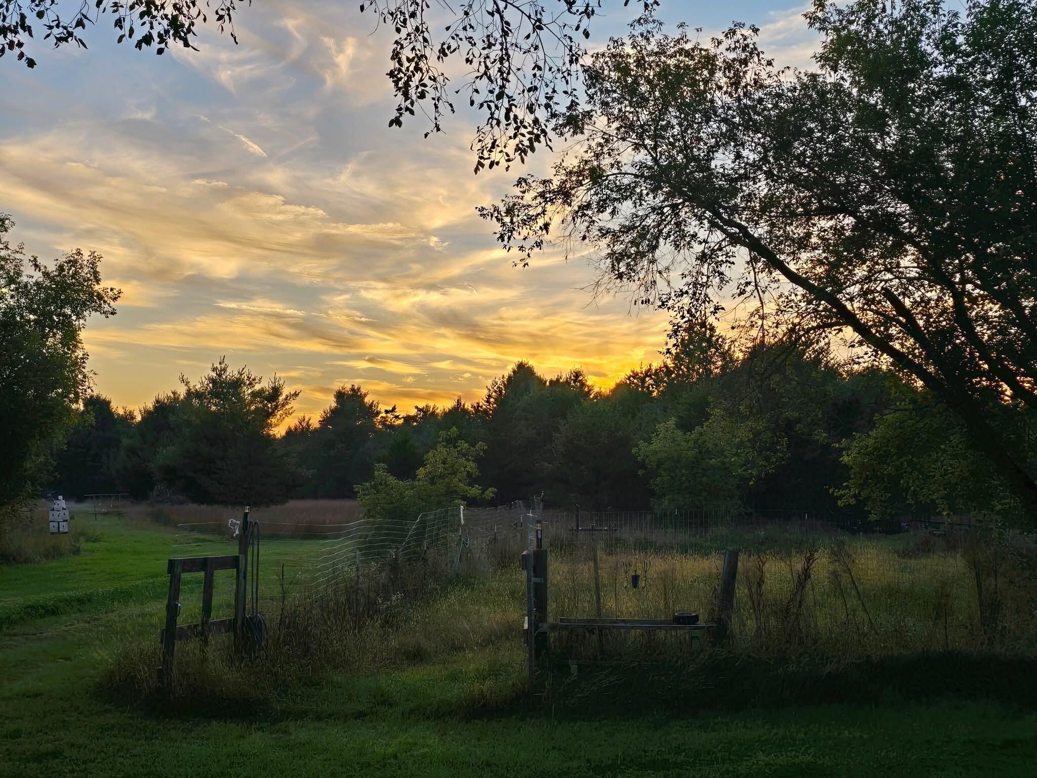 N2743 County Rd O Knapp, WI 54666 - Photo 59 of 60 FB_IMG_1761226349325 1