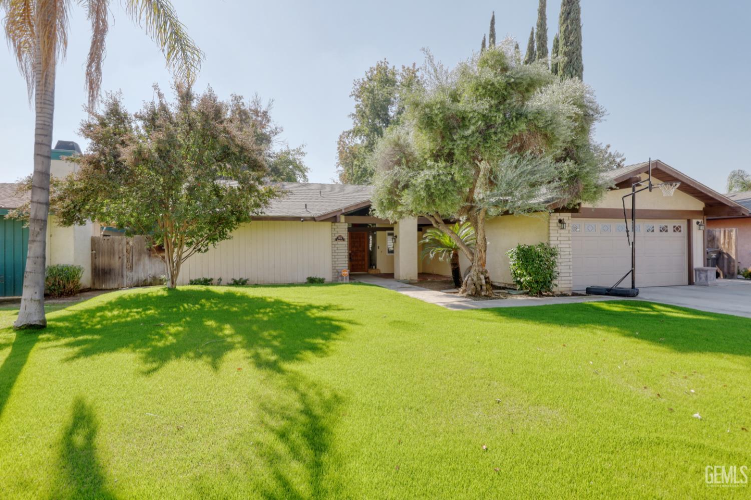 a backyard of a house with plants and large tree