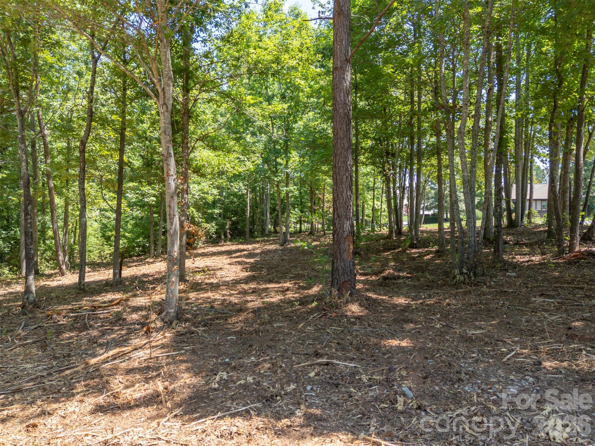 0 Doveridge Drive, Unit 66 Tryon, NC 28782 - Photo 14 of 21 a view of a forest with trees in the background
