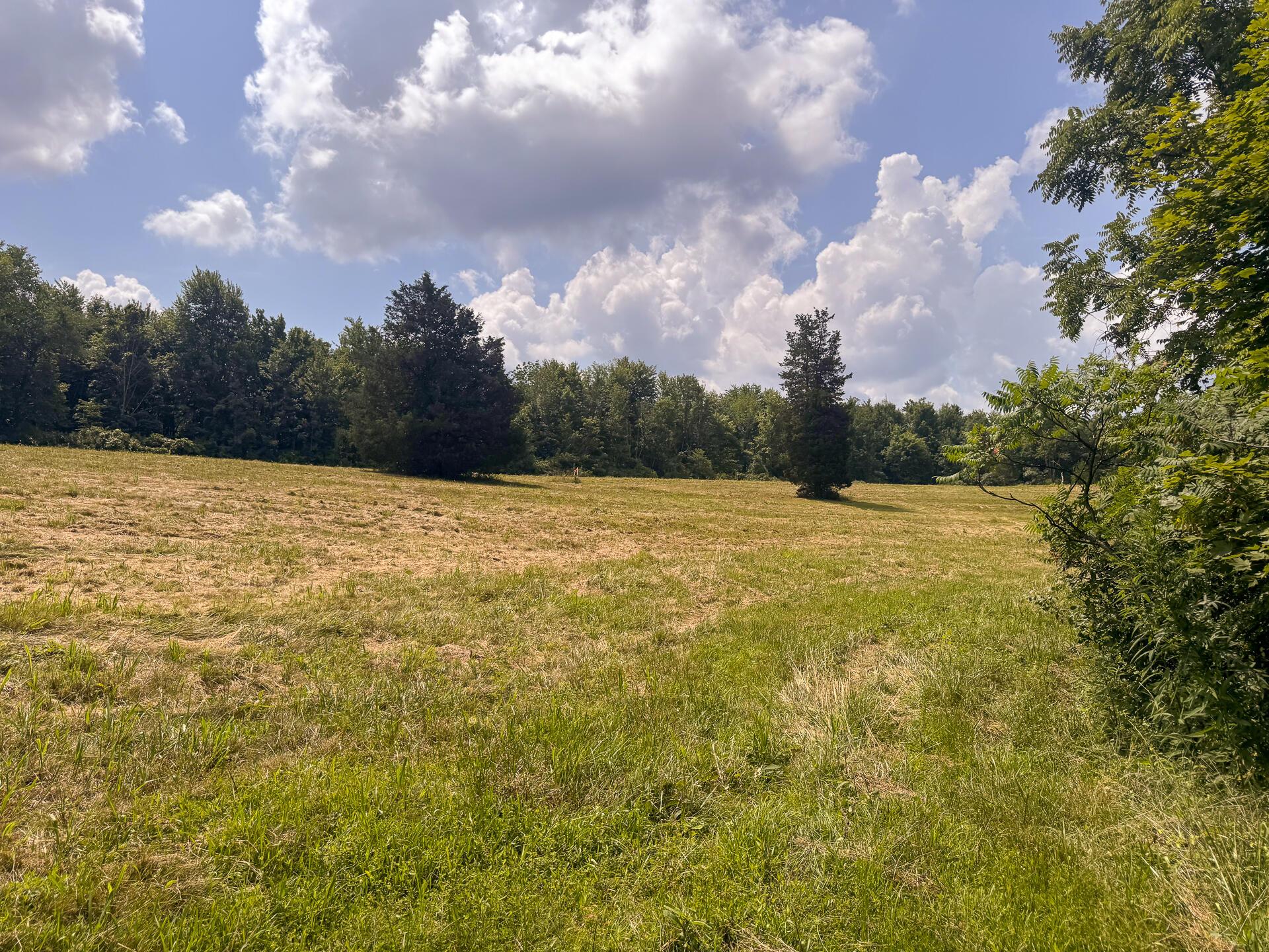 272 Golf Course Road, Unit TRACT 8 SKYLINEACRES) Waverly, OH 45690 - Photo 14 of 40 CT-14