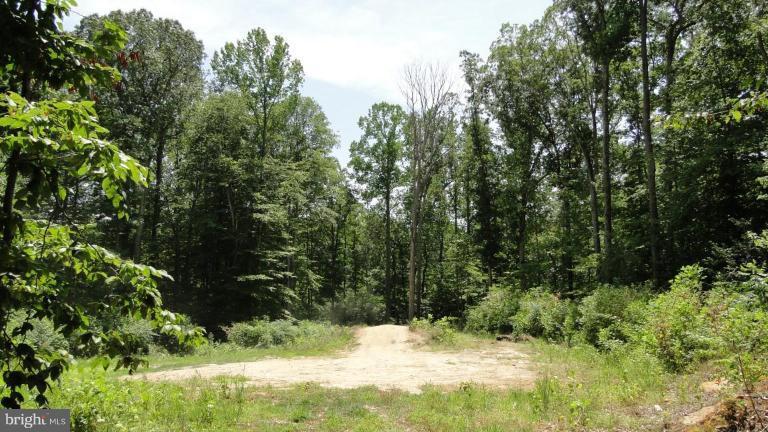 2440 Robinson Road Huntingtown, MD 20639 - Photo 1 of 1 a view of a yard with large trees