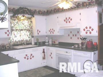 5331 Landmark Road Iuka, IL 62849 - Photo 2 of 7