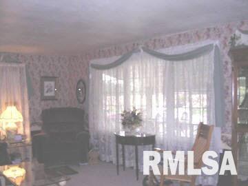 5331 Landmark Road Iuka, IL 62849 - Photo 4 of 7
