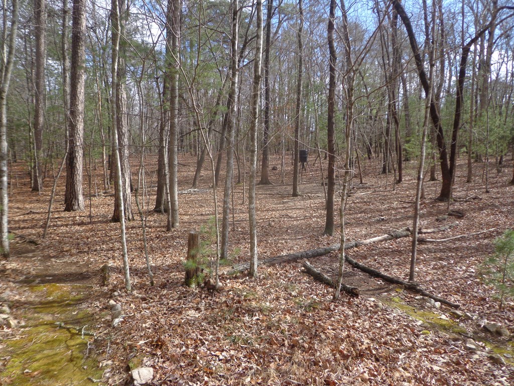 84 Victory Ridge Road Morganton, GA 30560 - Photo 7 of 66