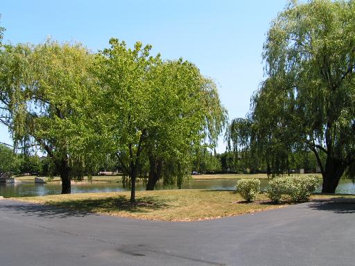 1316 East Evergreen Drive, Unit 7 Palatine, IL 60074 - Photo 14 of 14