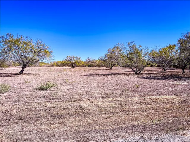 $47,500 | Lot 10 Fm 3376, Alice, TX 78332