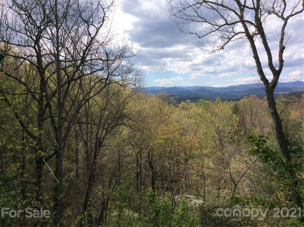 5561 Spring Road Hendersonville, NC 28739 - Photo 29 of 30 a view of outdoor space and yard