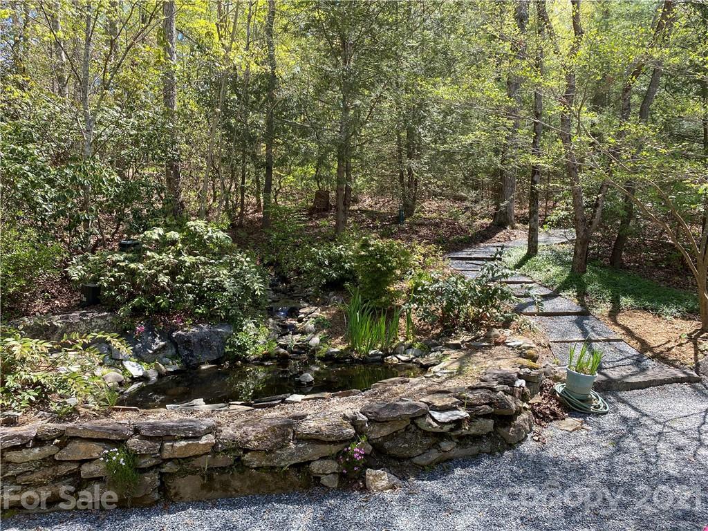 5561 Spring Road Hendersonville, NC 28739 - Photo 4 of 30 a view of a forest with trees