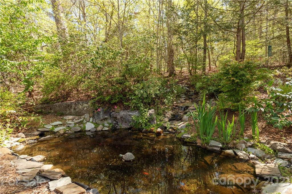 5561 Spring Road Hendersonville, NC 28739 - Photo 6 of 30 a view of a lake with a tree
