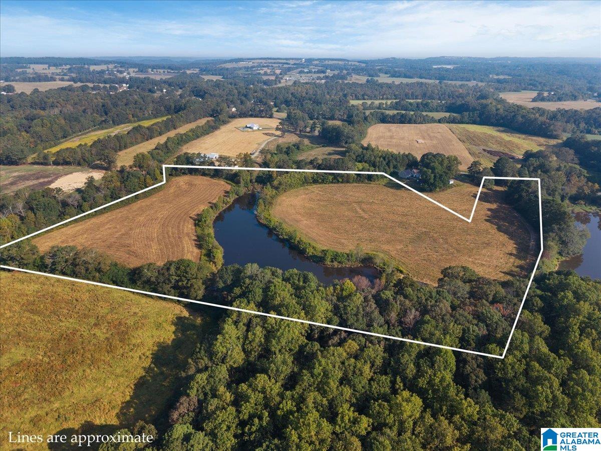 21 County Road, Unit 2 00 Horton, AL 35980 - Photo 1 of 17