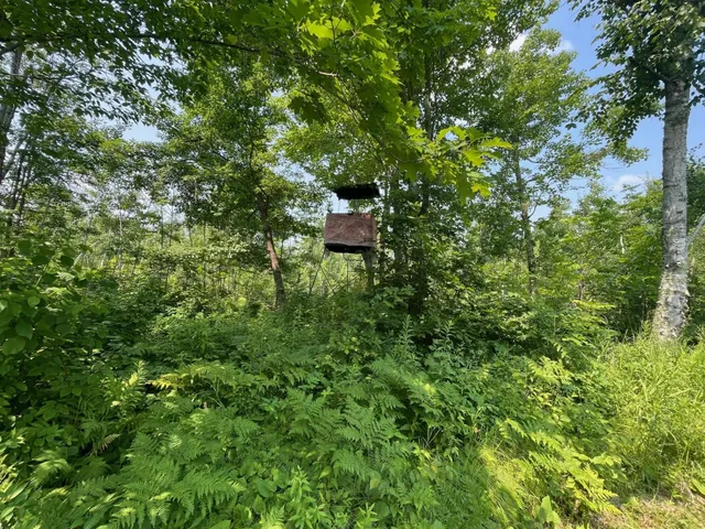 $134,900 | 63872 Kingsdale Road, Sandstone, MN 55072