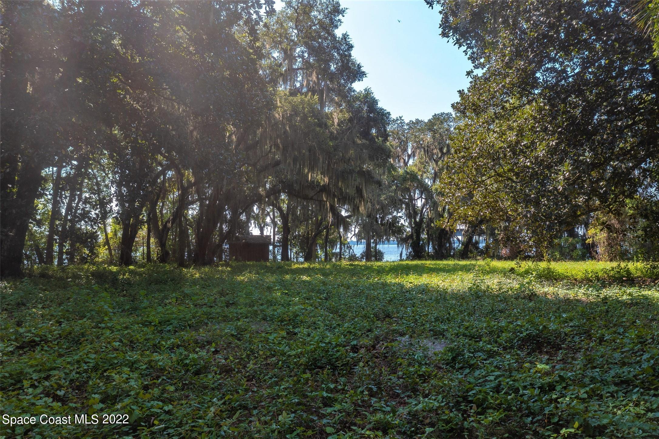 745 West River Road Palatka, FL 32177 - Photo 9 of 10 a big yard with lots of green space and trees