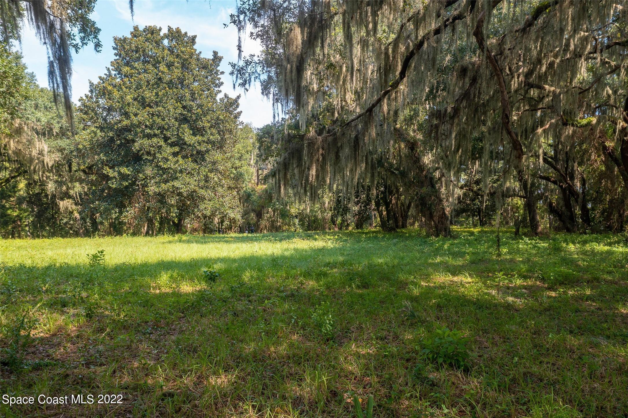 745 West River Road Palatka, FL 32177 - Photo 10 of 10 a view of outdoor space with trees all around