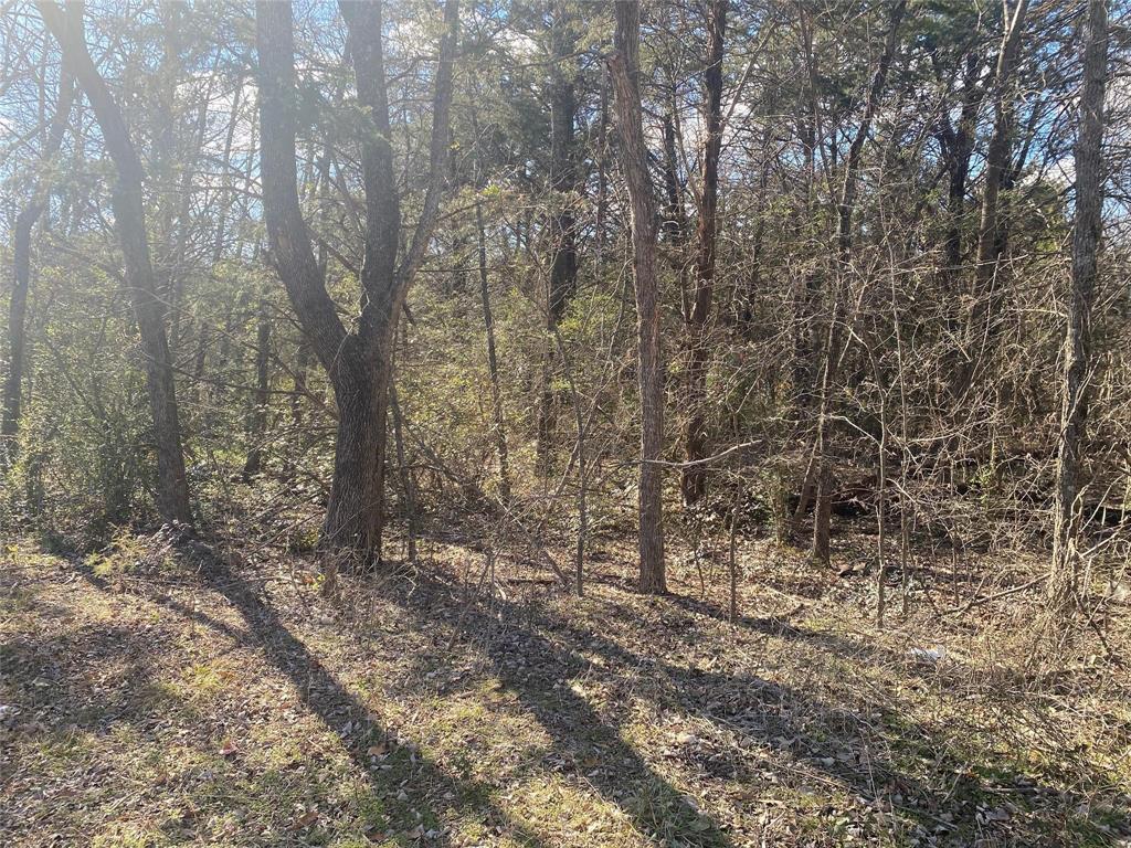 View of wooded area