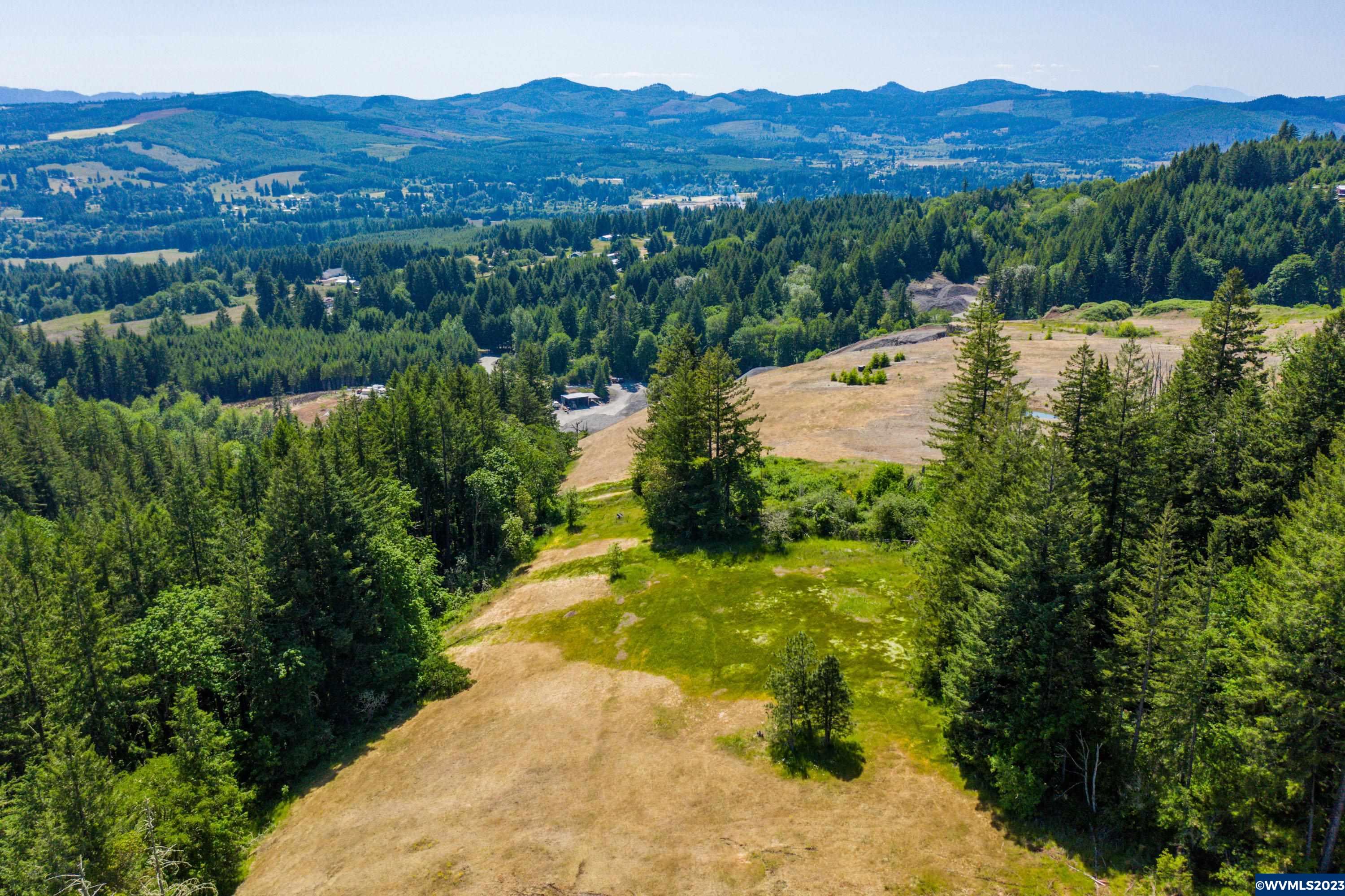Marks Ridge Sweet Home, OR 97386 - Photo 11 of 32