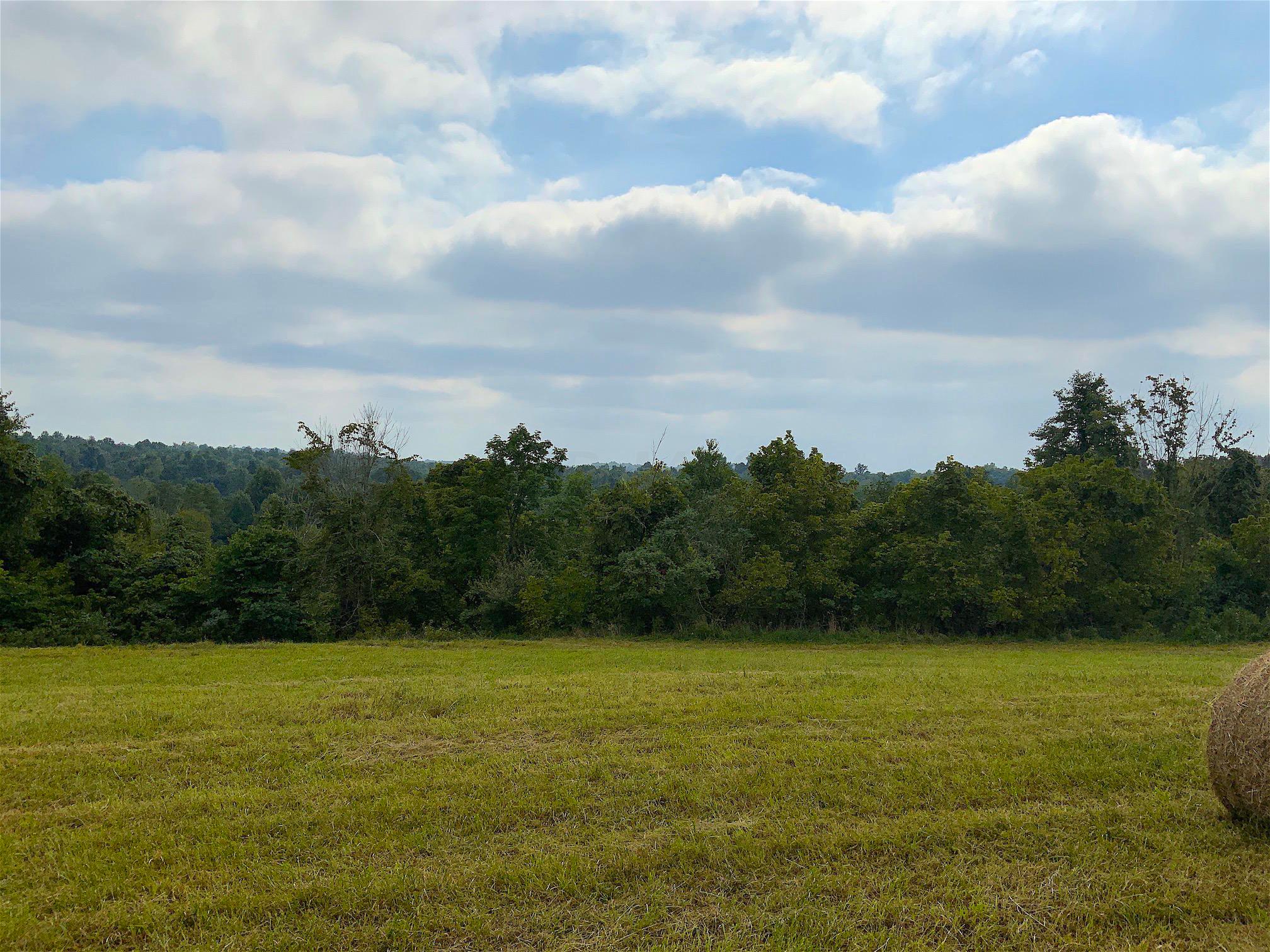 0 Elliott Road Crown City, OH 45623 - Photo 19 of 30