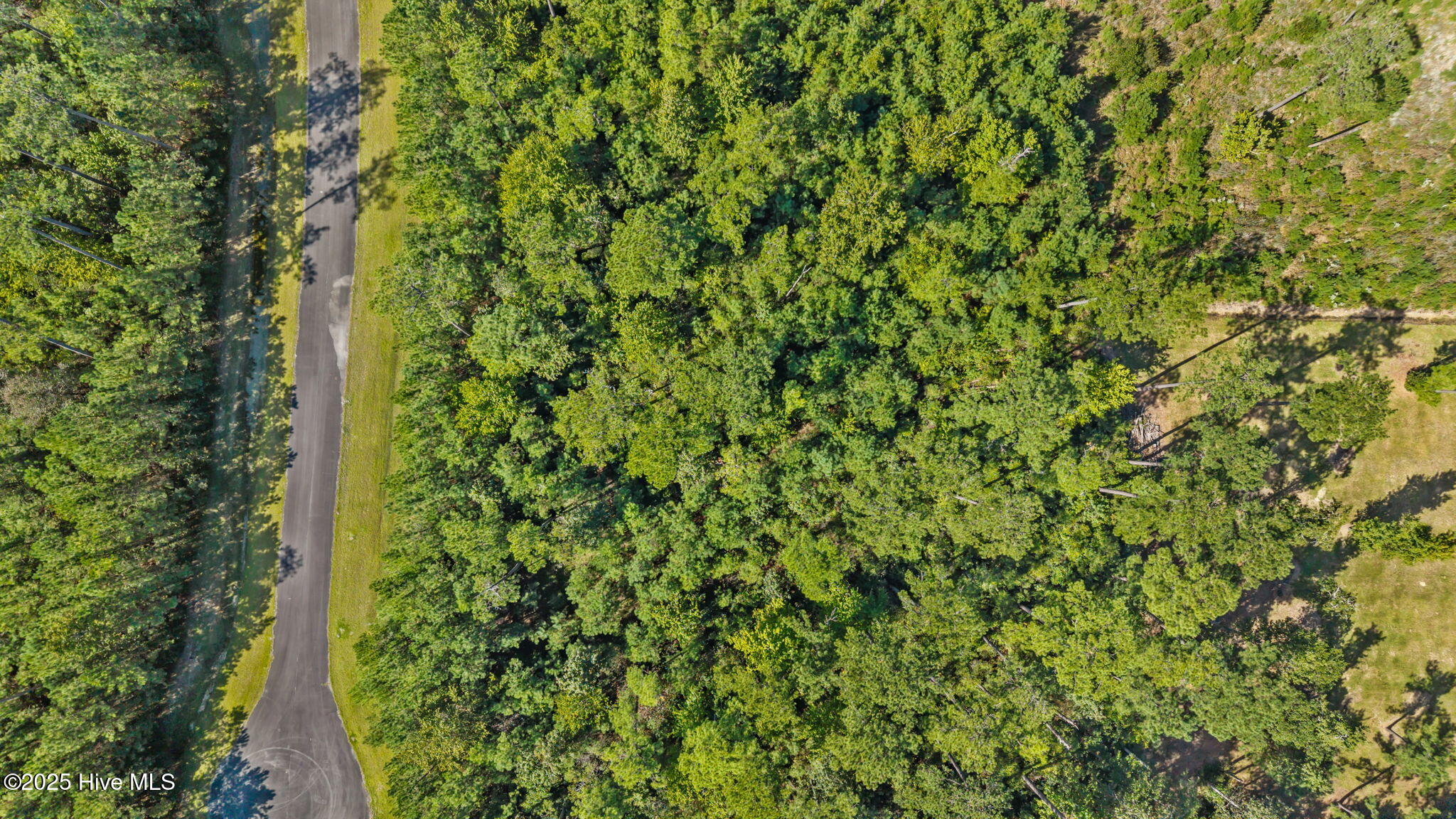 87 Mason Lane Merritt, NC 28556 - Photo 12 of 12 11-web-or-mls-DJI_20251002135019_0281_D