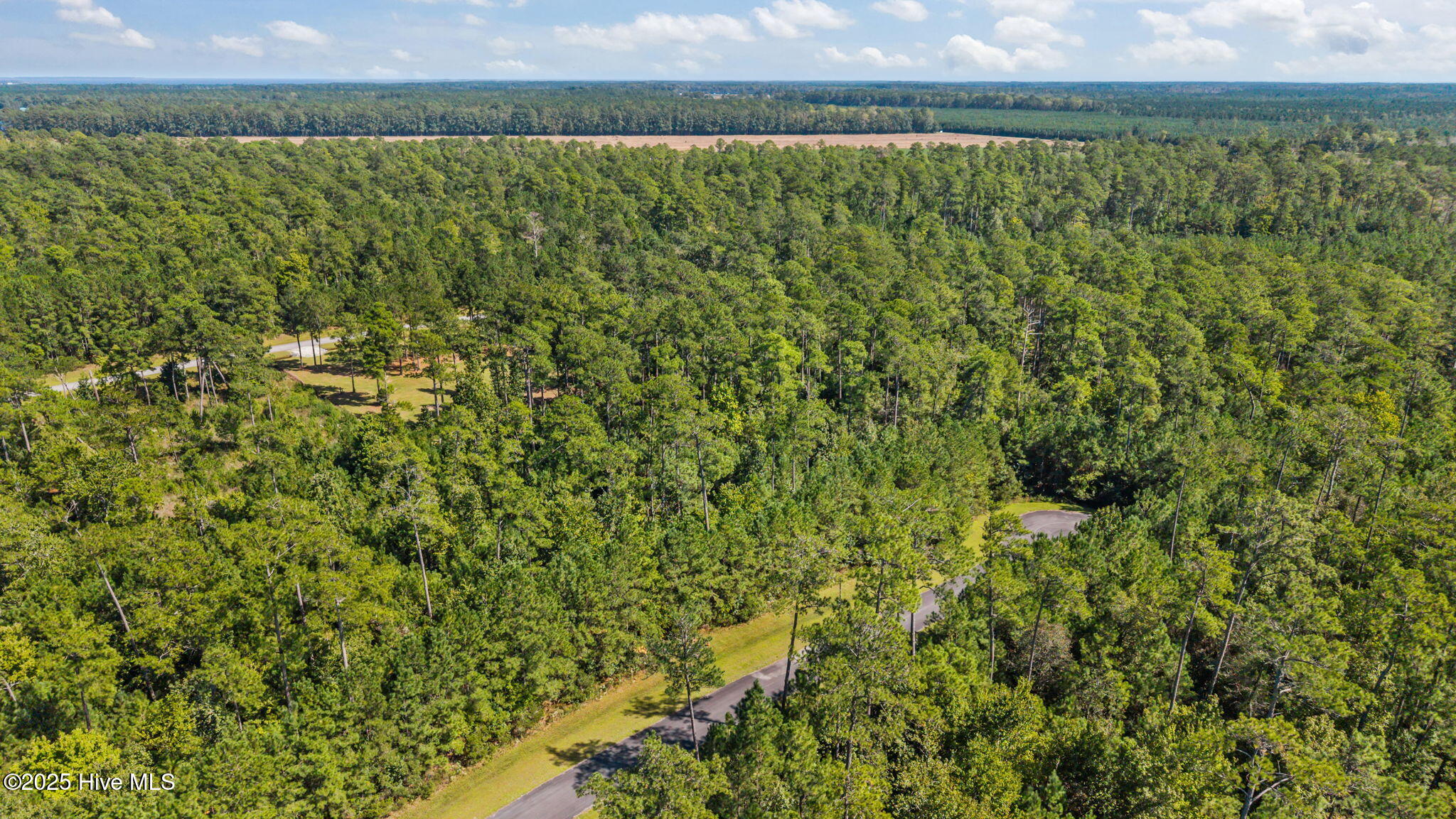 87 Mason Lane Merritt, NC 28556 - Photo 2 of 12 1-web-or-mls-DJI_20251002134848_0274_D