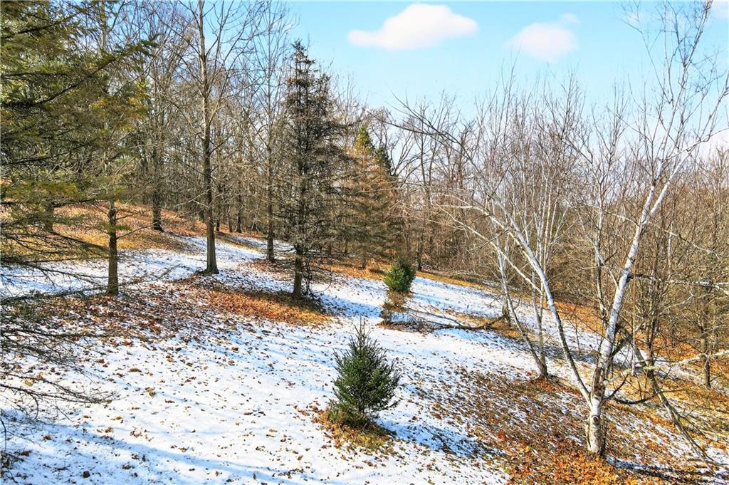 Lot# 14 Verner Lane Washington, PA 15301 - Photo 13 of 25 a view of a yard with trees