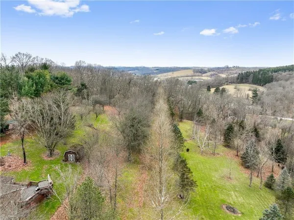 a view of a bunch of trees in a field