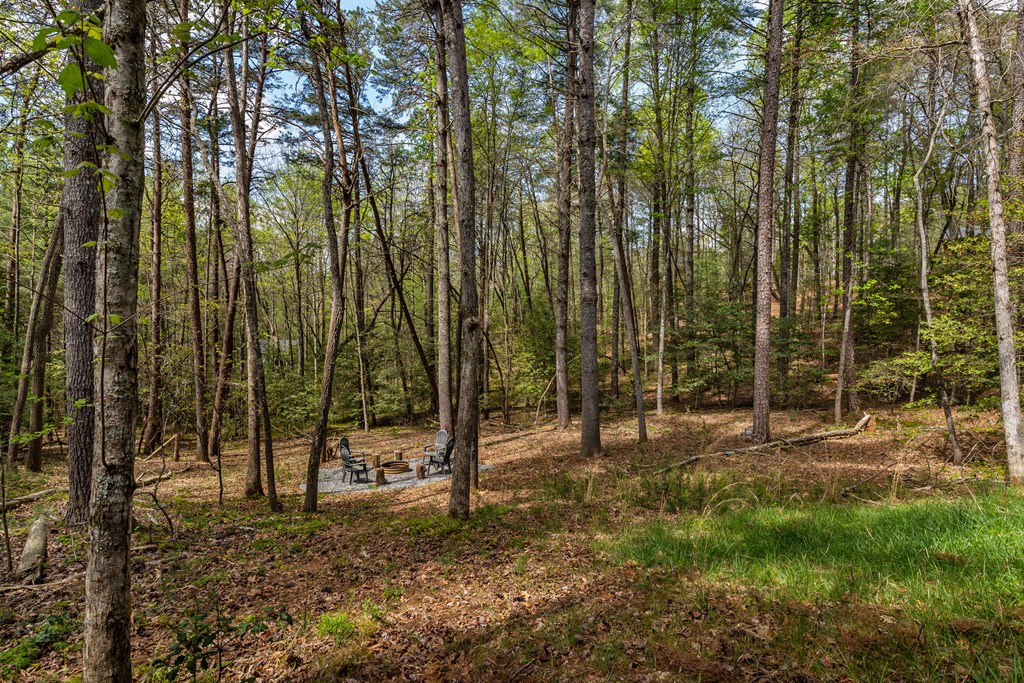 237 Bentley Cove Murphy, NC 28906 - Photo 34 of 43 a view of outdoor space with trees