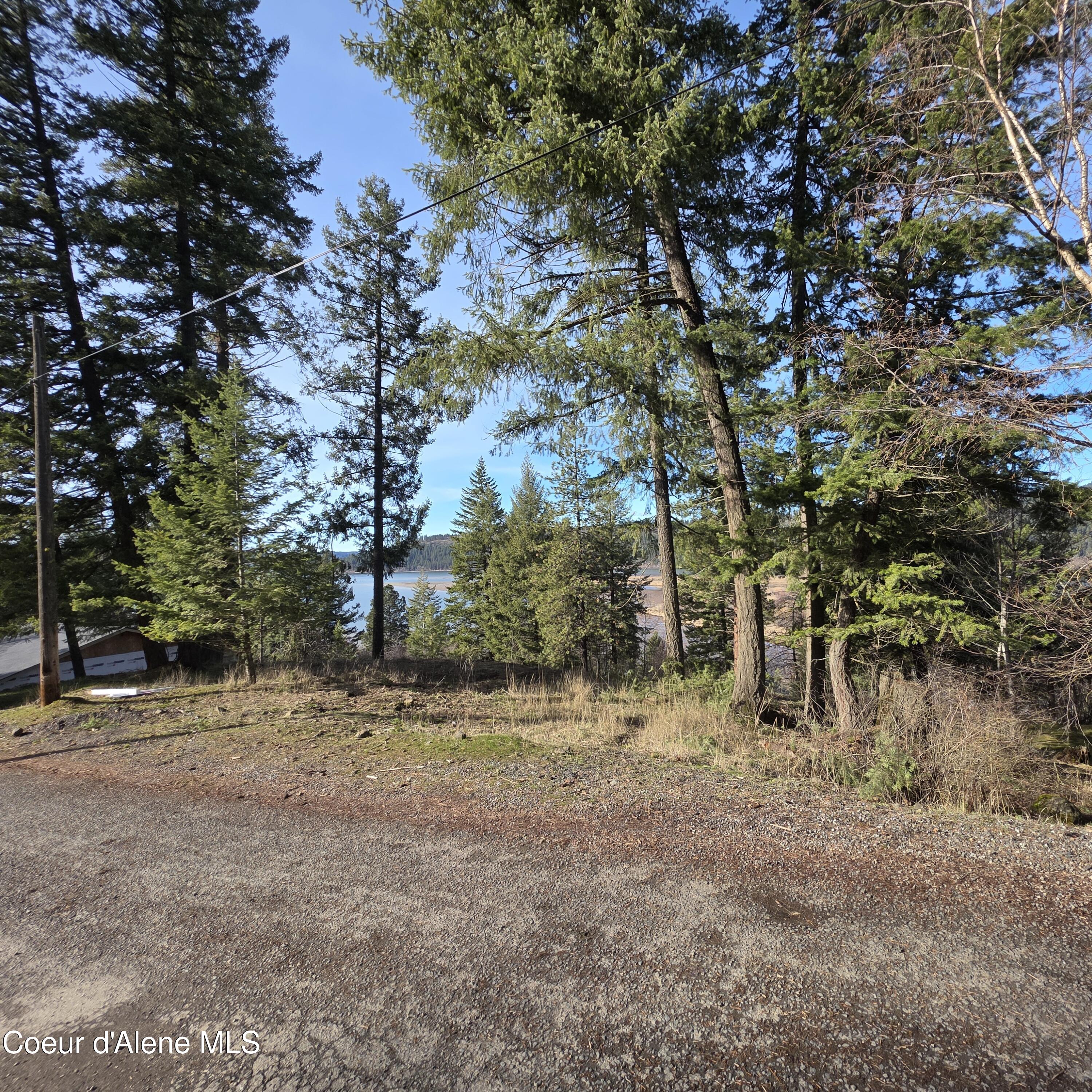 Nka Nka Garfeild Harrison, ID 83833 - Photo 11 of 36 20260210_125602