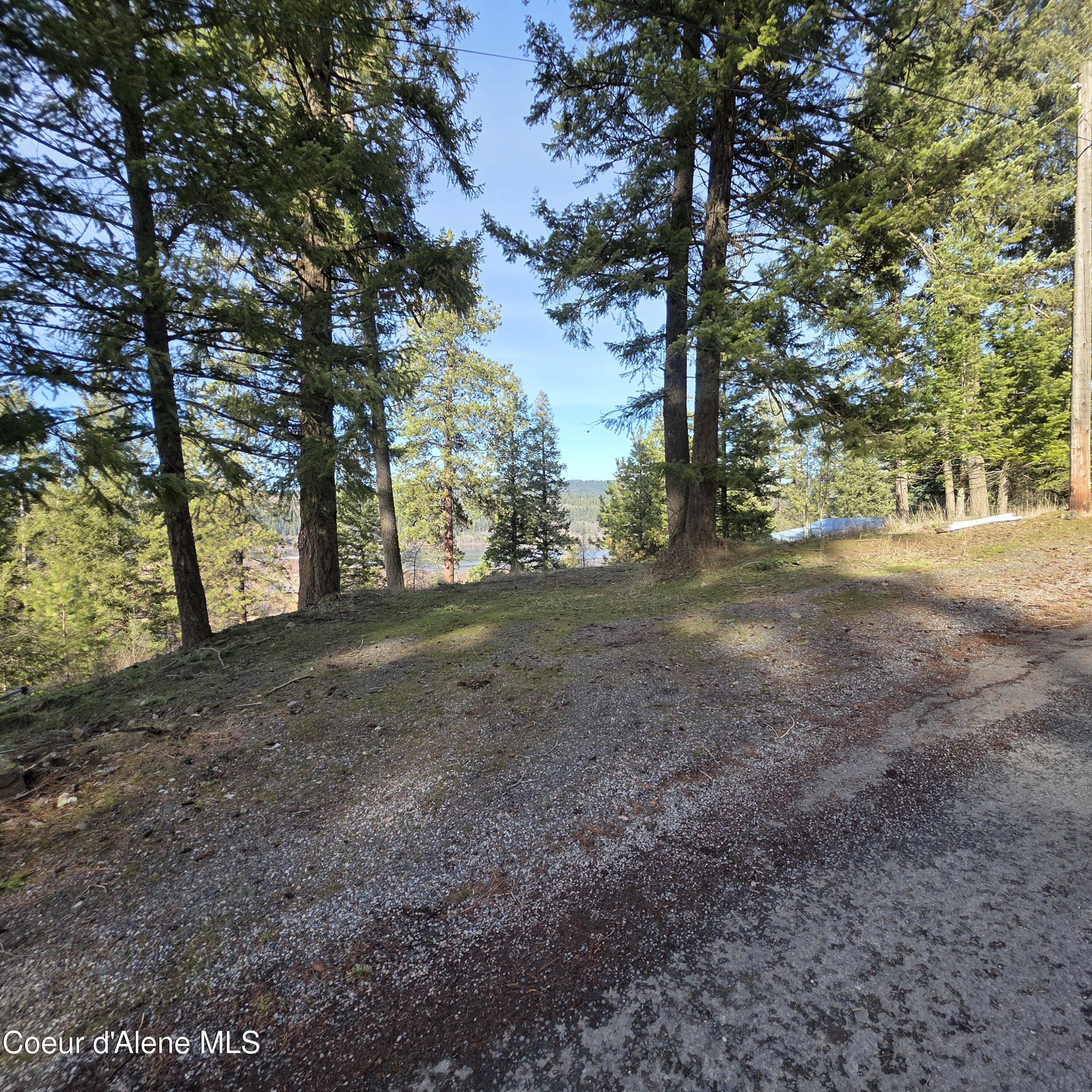 Nka Nka Garfeild Harrison, ID 83833 - Photo 12 of 36 20260210_125801