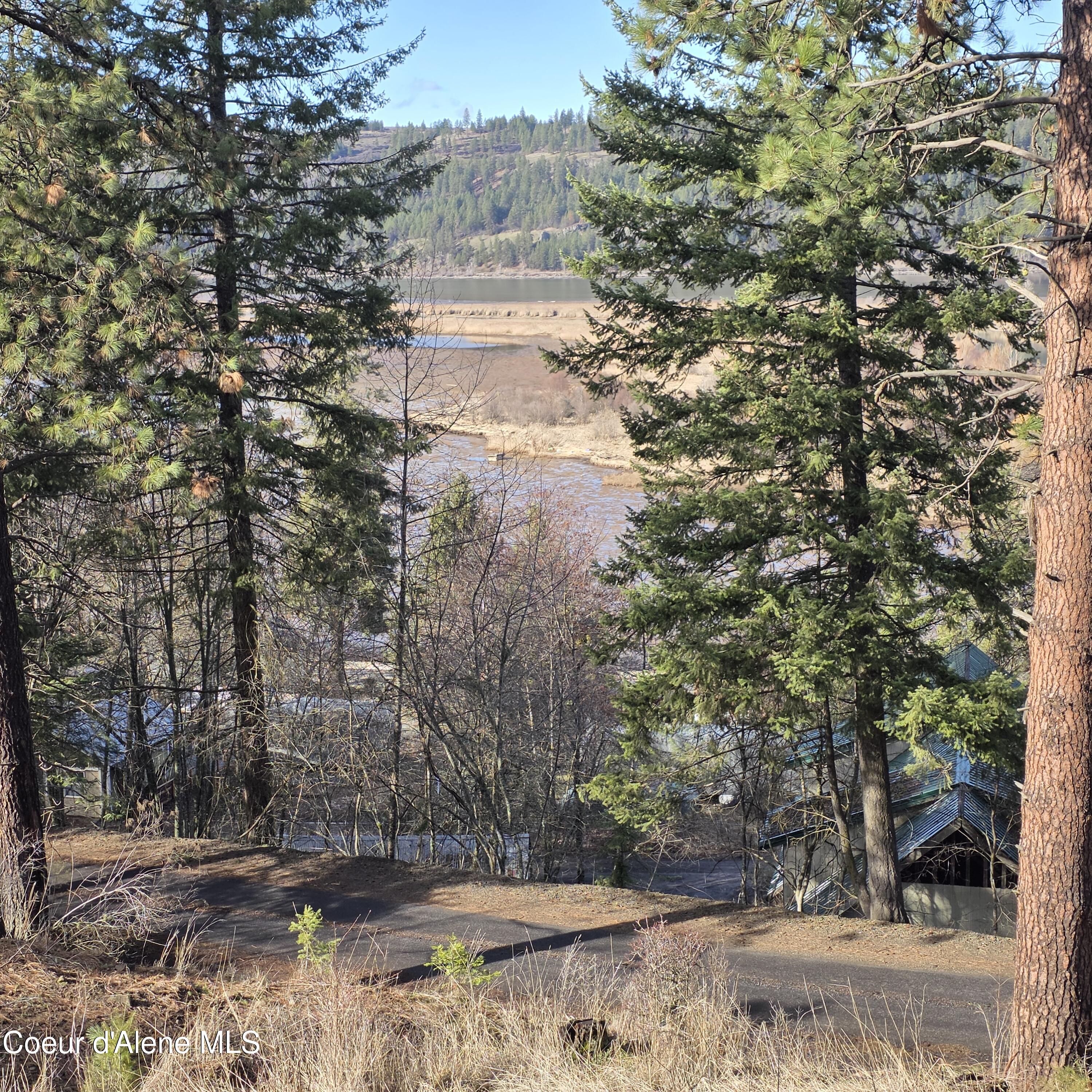 Nka Nka Garfeild Harrison, ID 83833 - Photo 14 of 36 20260210_130606