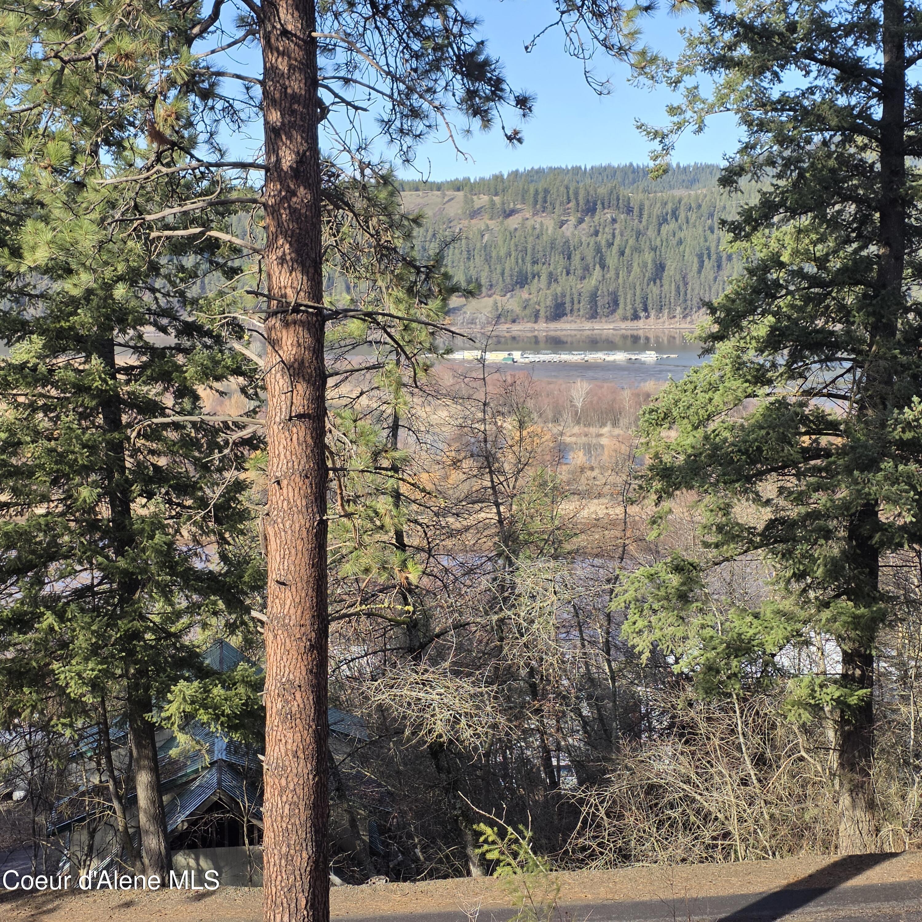 Nka Nka Garfeild Harrison, ID 83833 - Photo 15 of 36 20260210_130610