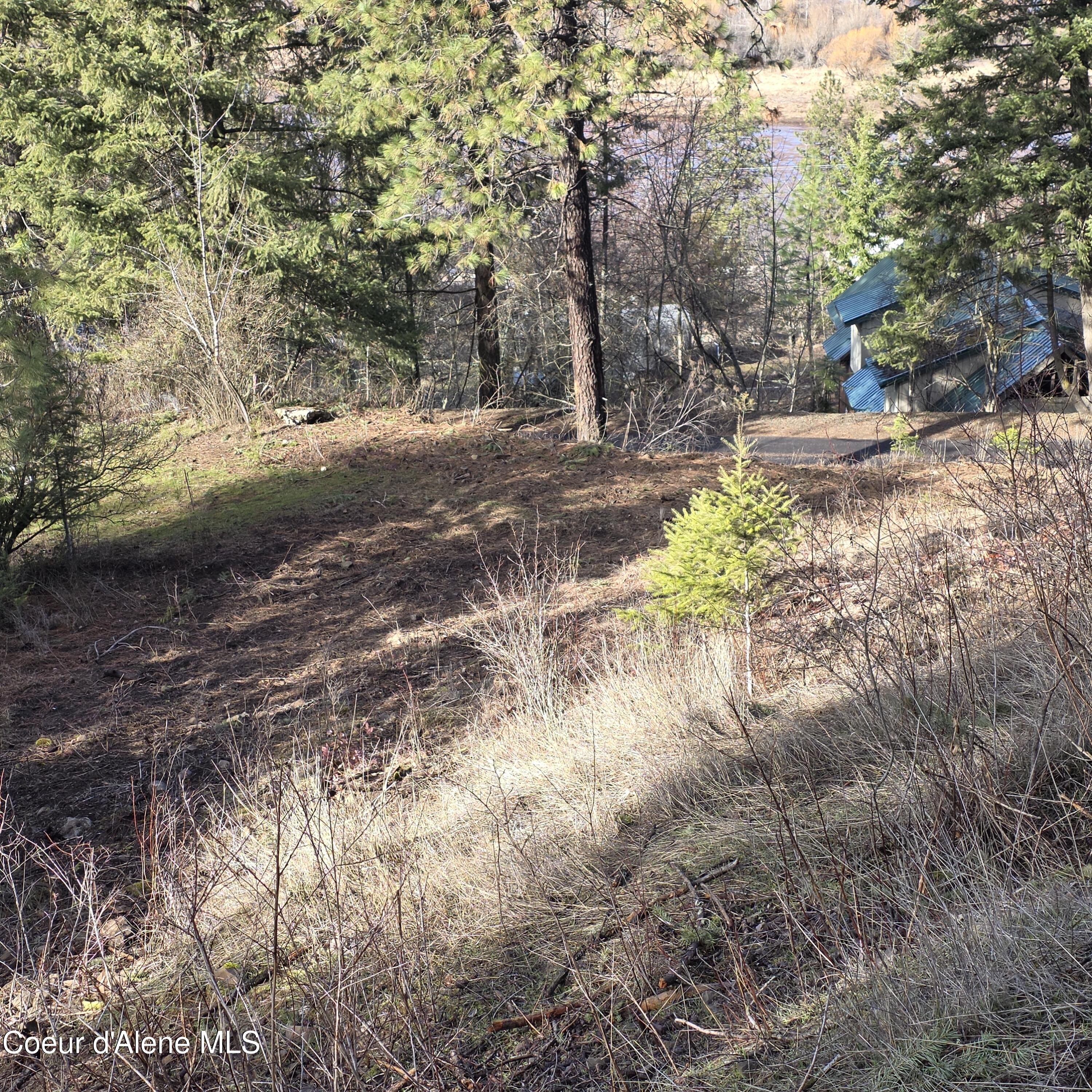 Nka Nka Garfeild Harrison, ID 83833 - Photo 18 of 36 20260210_125905 - Copy