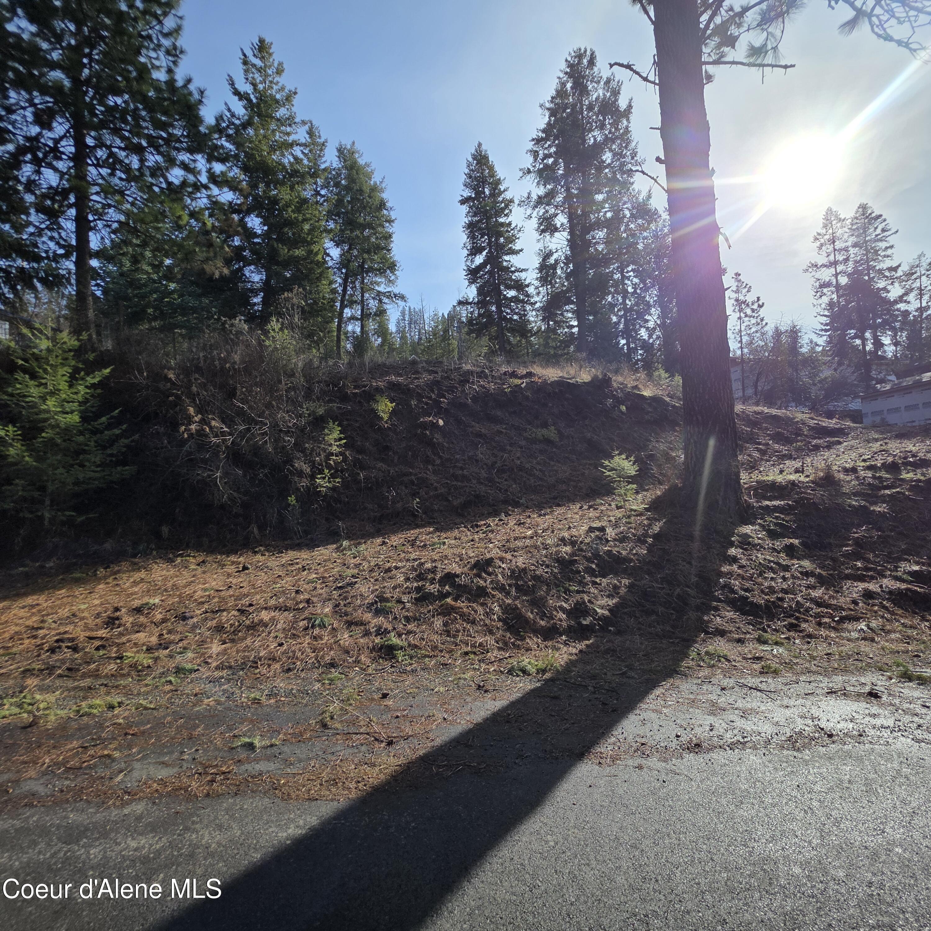 Nka Nka Garfeild Harrison, ID 83833 - Photo 21 of 36 20260210_130227 - Copy