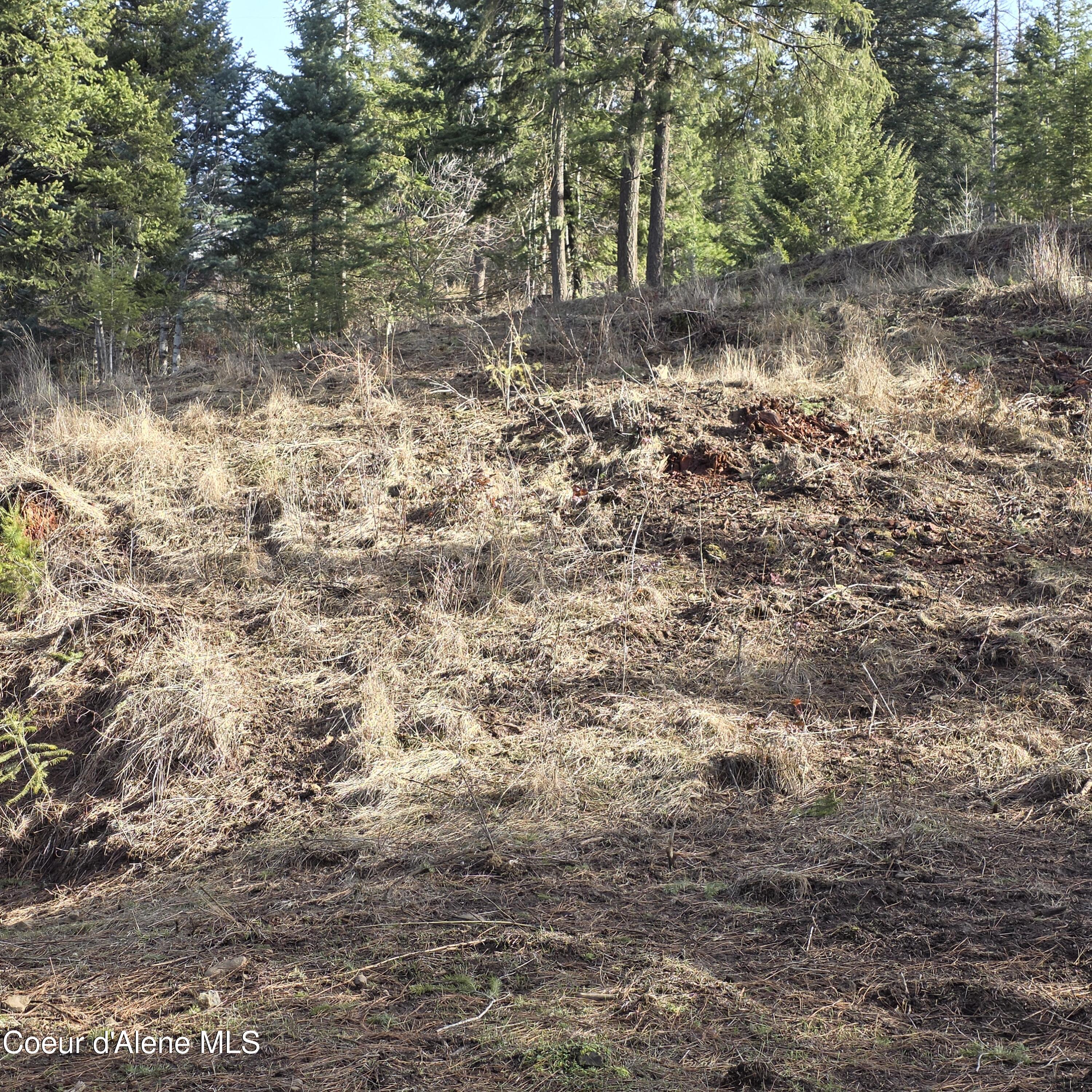 Nka Nka Garfeild Harrison, ID 83833 - Photo 23 of 36 20260210_130340 - Copy